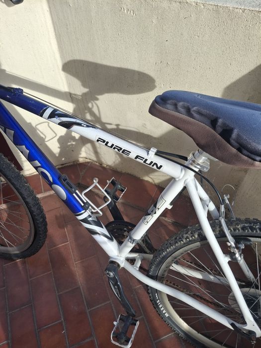 Bicicleta adulto