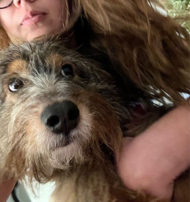 Doação responsável