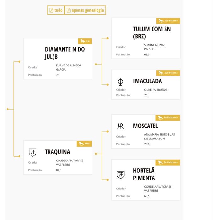 Cavalo lusitano inteiro 5 anos