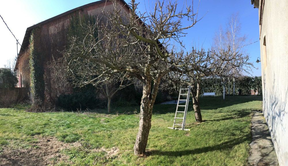 Cięcie Drzew Owocowych i Ozdobnych, Pielęgnacja, Wycinka, Ogrodnik