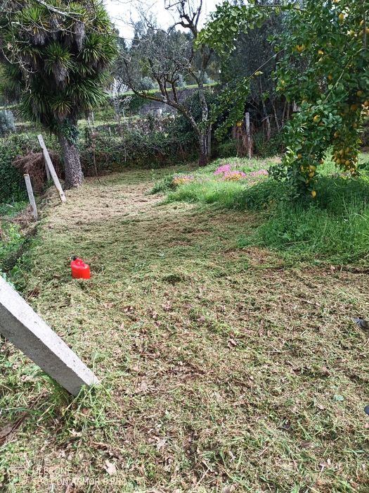 Limpeza de terrenos alguma dúvida ou interesse contactar