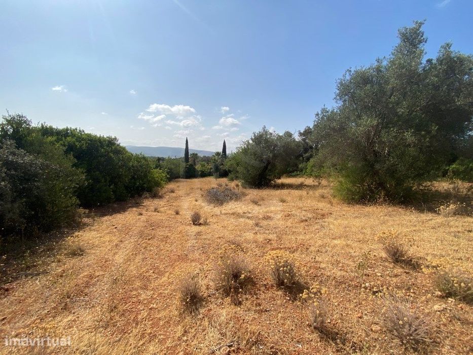 Lote de Terreno Rústico no Serro dos Passarinhos, Loulé, Algarve