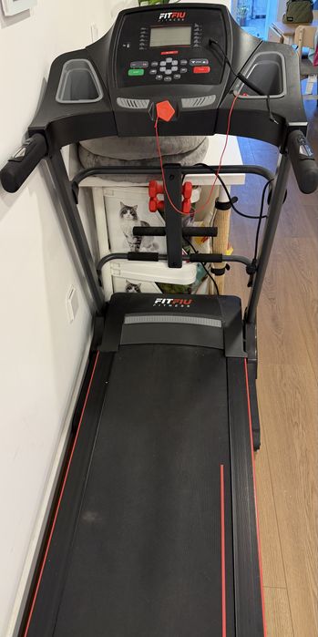 Passadeira electrica