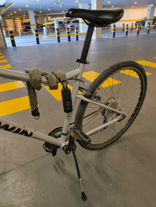 Bicicleta Riverside 120