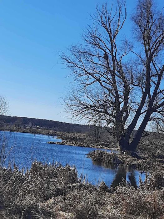 Біля води, Синяк, 112 соток, ОСГ. Супермісце!