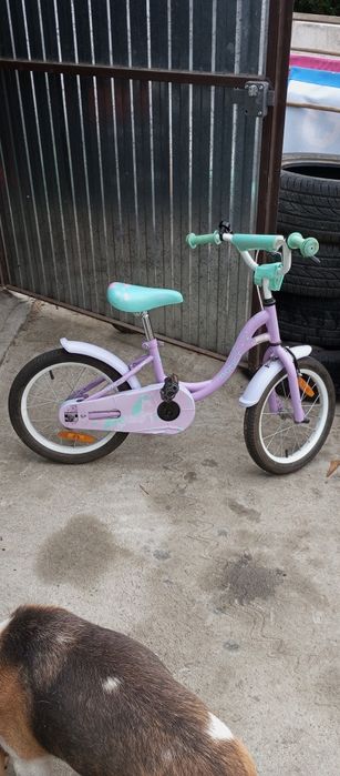 Romet Tola 16" fioletowy