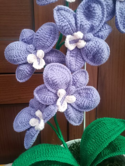 Storczyk na szydełku