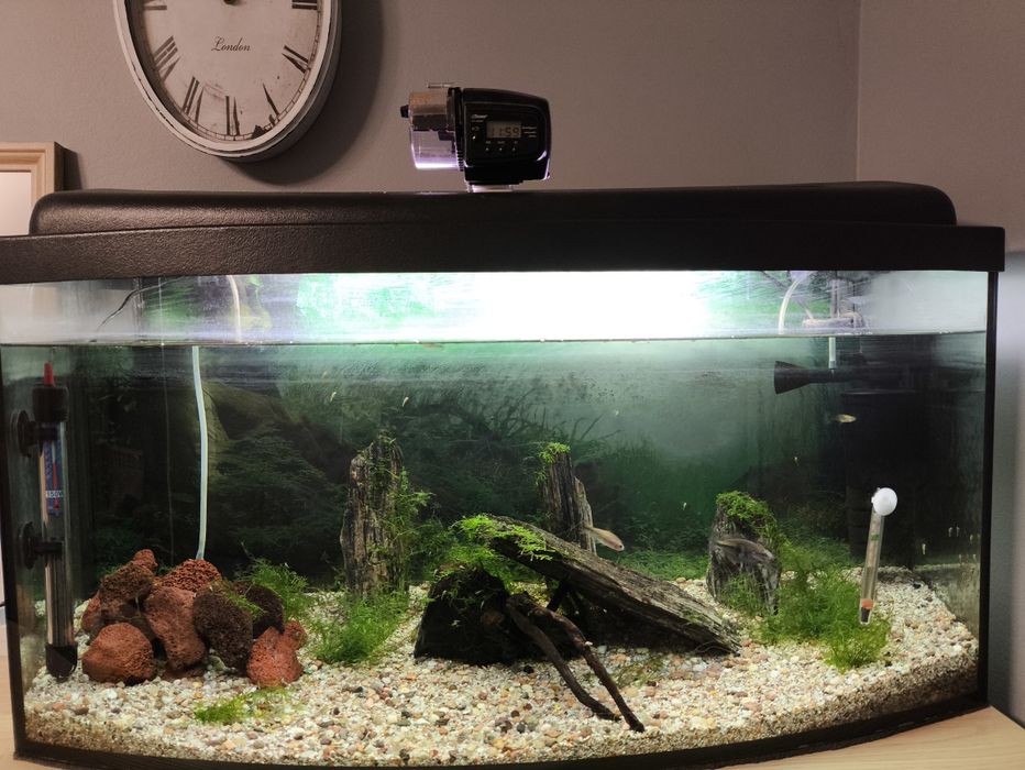 Akwarium 112l pełen zestaw