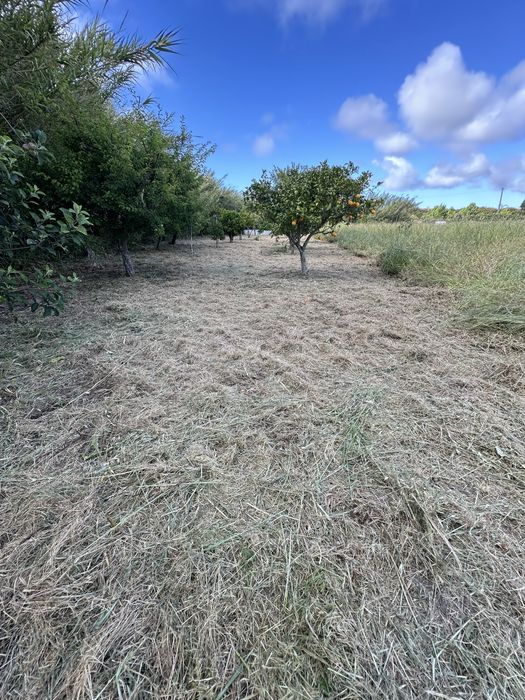 Limpeza de Terrenos e Quintas | O Moço do Laré