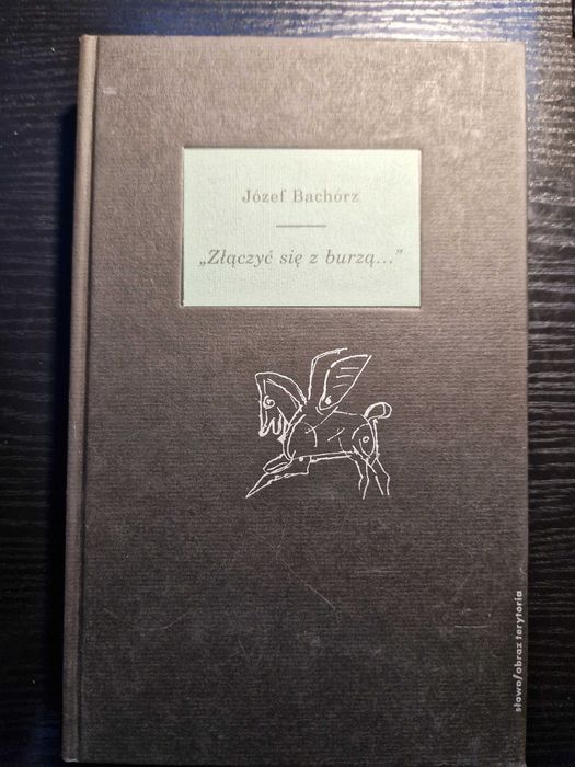 Złączyć się z burzą... - Józef Bachórz