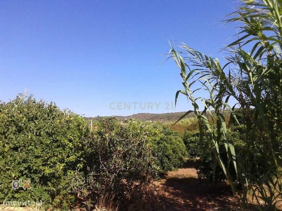 Terreno Rústico de 6725 m2, situado em Santo Estevão a escassa distânc — Silves, Faro