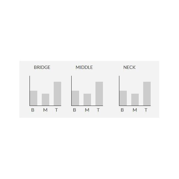 Seymour Duncan STK-S4M RV/RP Classic Stack Middle przetwornik gitarowy