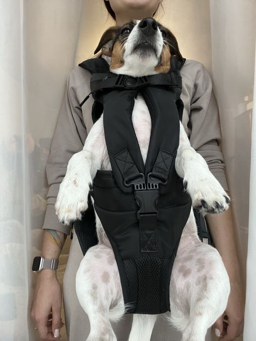 Сумка рюкзак переноска для тварин розмір М 5-8кг