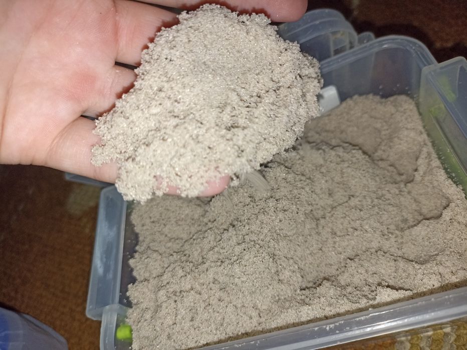 Живий кінетичний пісок