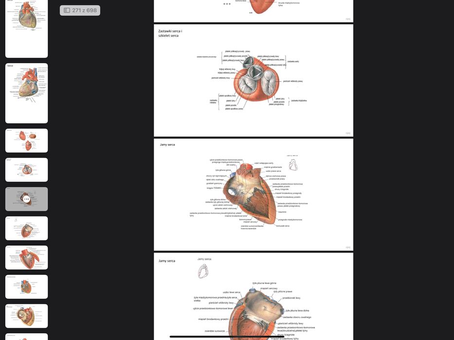 kompleksowu zestaw do nauki anatomi prawidłowej