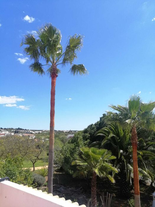 Quarto Albufeira / Guia numa vivenda com despesas incluídas