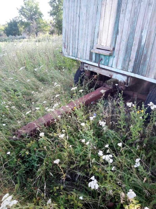 Продам бджолопавільйон