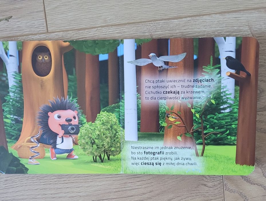 Książka  dla dzieci  Jeżyk  i Spreżynka Wyprawa do Lasu