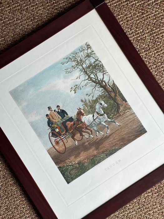 Quadros de cavalos com lindas gravuras