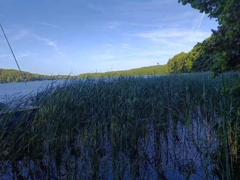 Domek letniskowy "Okna na Las"
