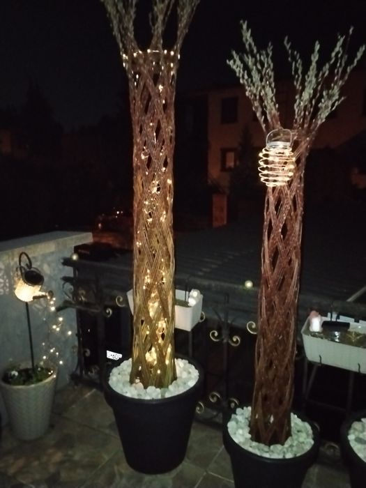 Wierzba pleciona około 200 cm piękna ozdoba dekoracja ogrodu