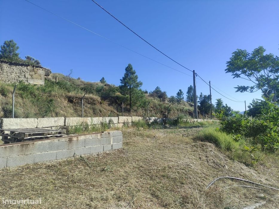 Quinta  Venda em Vela,Guarda
