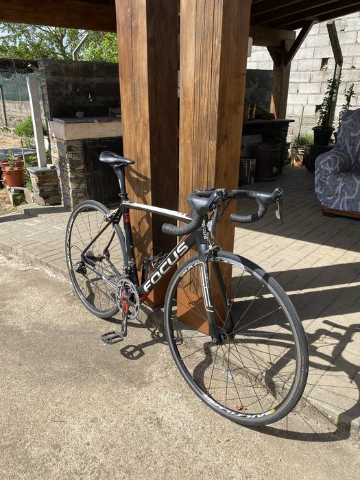 Focus Izalco Carbono