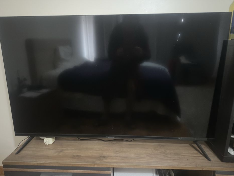 Televisao 55 como  nova