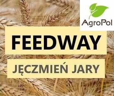 Jęczmień Jary FEEDWAY - Nasiona Jęczmienia Jarego Danko kwalifikat