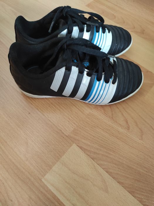 Haluwki adidas 31