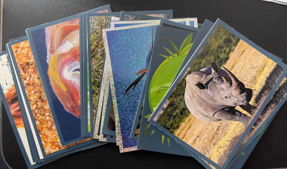 Cromos da série Mundo Animal da PANINI1