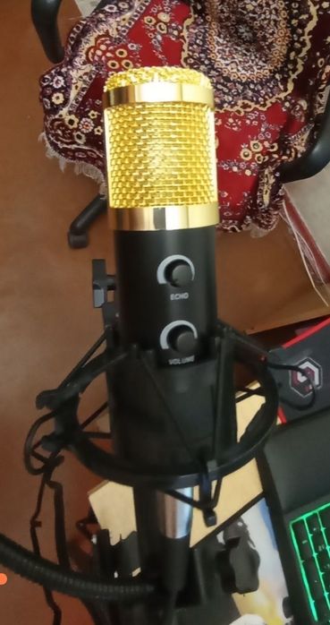 Професійний мікрофон.