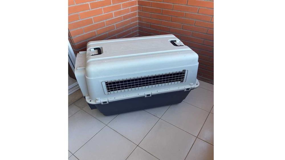 Caixa nova de Transporte para Cães