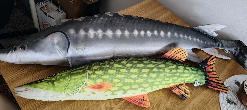 Ryba pluszowa jesiotr i szczupak