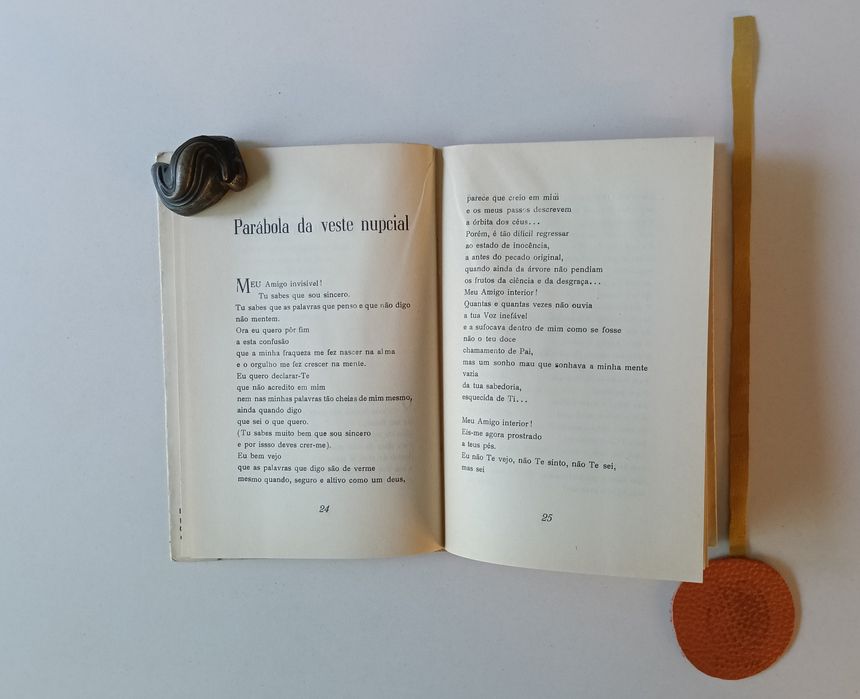 Rio Interior- Pseud. de Pina Martins