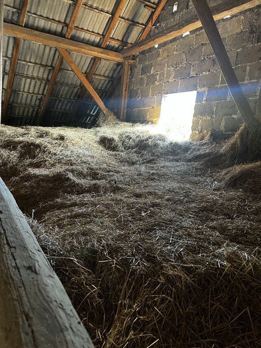 Oddam siano oraz słome