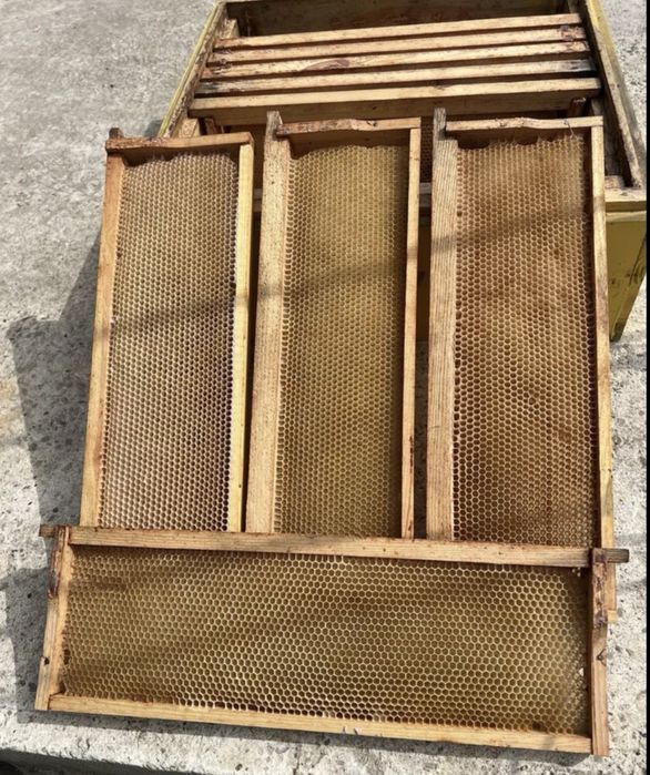 Сушь рамки 145/230