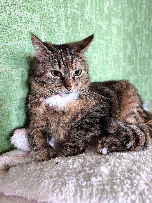 Спокійна, доросла, стерильна