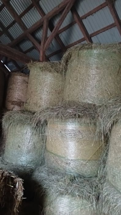 Sprzedam dobrej jakości siano