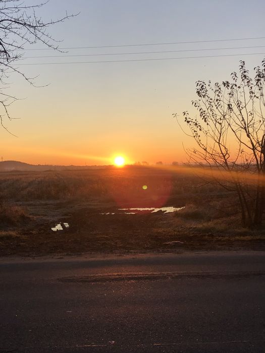 Продам землю  пай 1,8 гектара, в селі Нижній Коропець до Мукачево 5 км