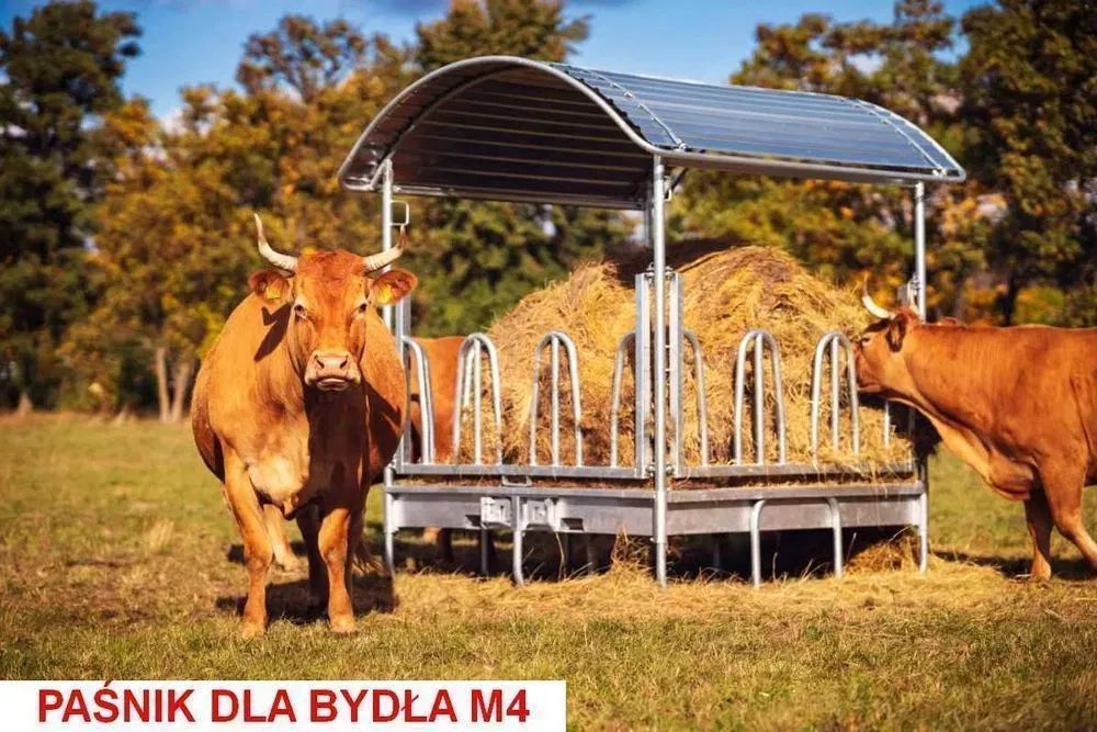 Paśnik dla koni bydła krów opasów alpak
