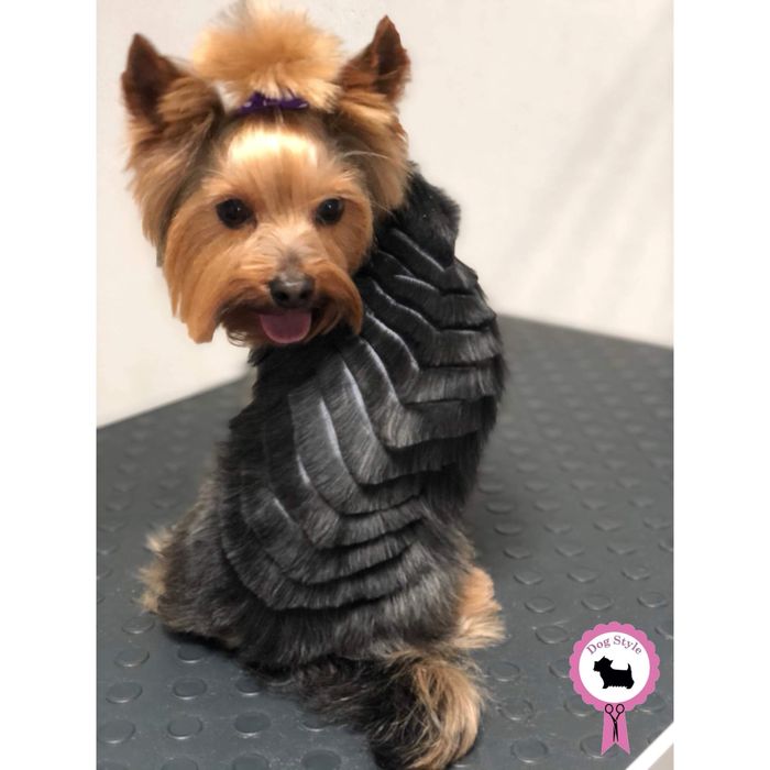 Dog Style / грумінг-салон/ грумер / стрижка собак та котів