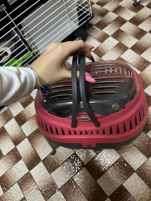 Transporterek  dla swinki morskiej, krolika, gryzoni