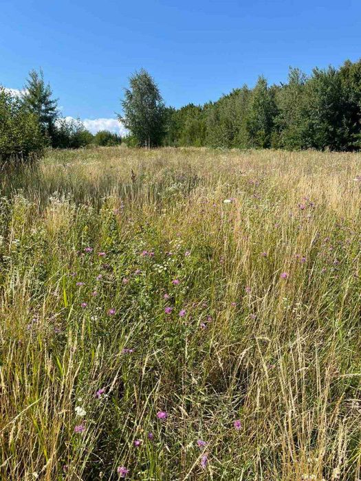 Продам земельну ділянку 25 сотих у с. Вербовець, Косівський р-н