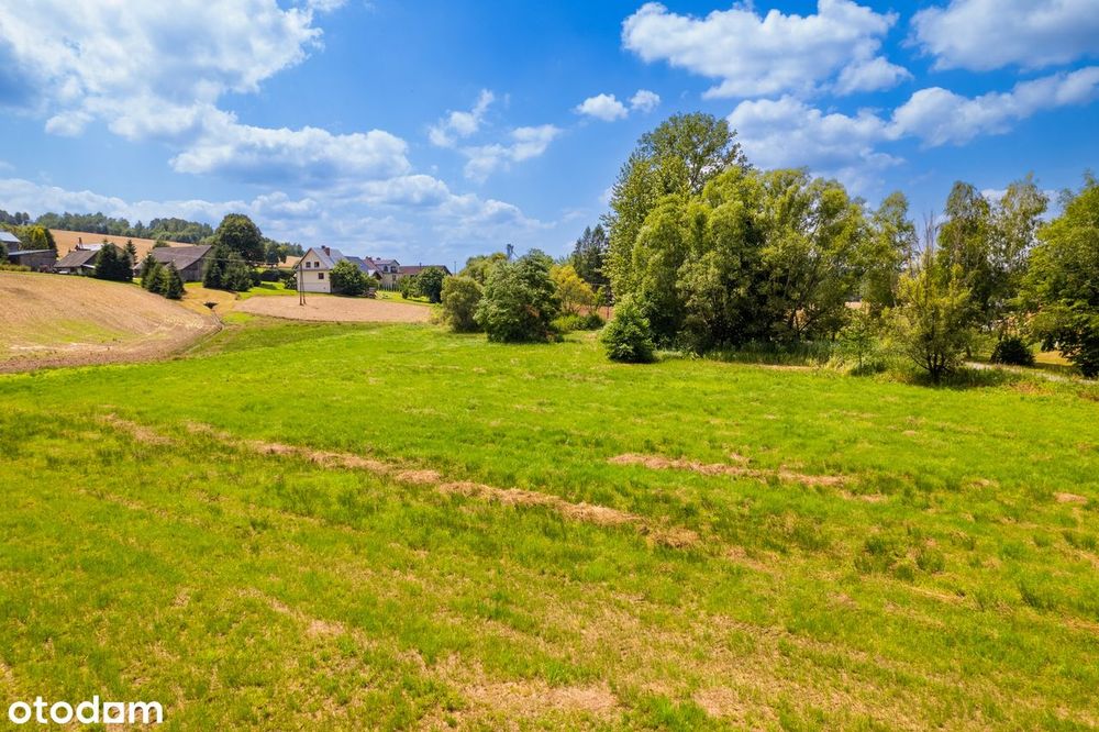Burzyn, gm. Tuchów działka 57 ar – budowlana