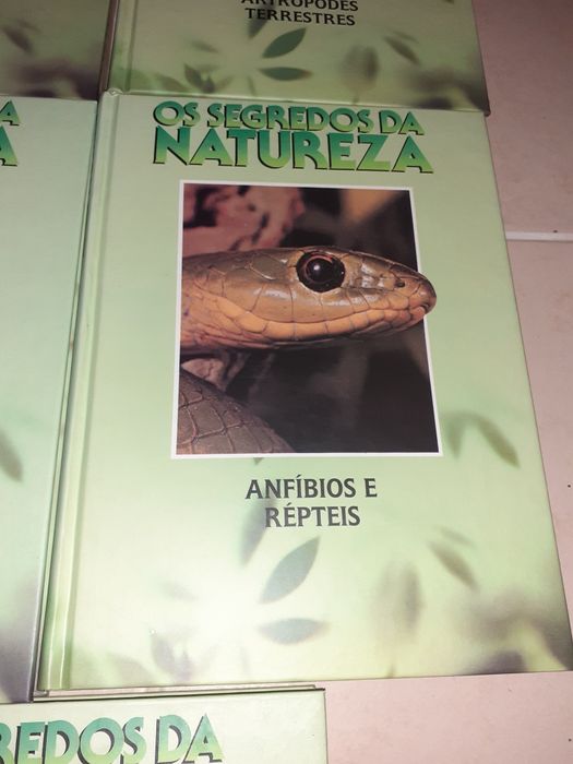 Conjunto de 8 livros os segredos da natureza.
