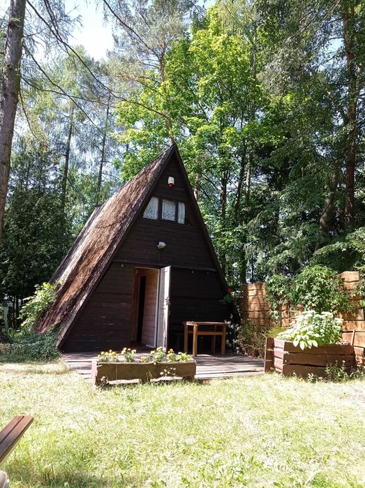 Działka rekreacyjna nad Wkrą