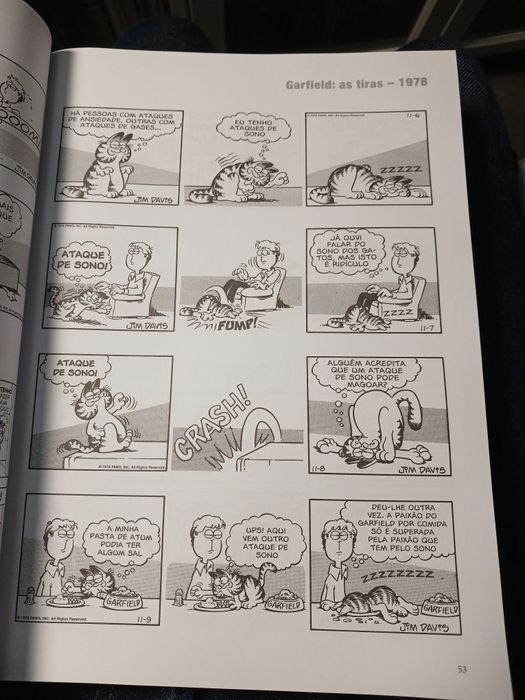 O mundo de Garfield - Banda desenhada