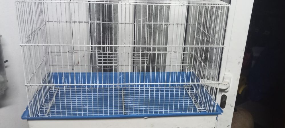 Vendo cinco gaiolas