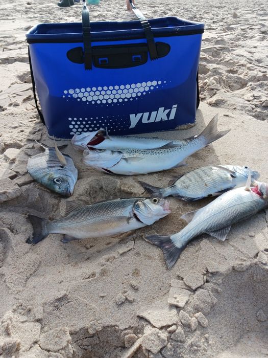 Madres de pesca com missangas coladas